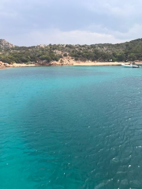 Olbia: Dolphin Watching and Snorkeling Boat Tour - The Expert Guide: Your Local Marine Companion