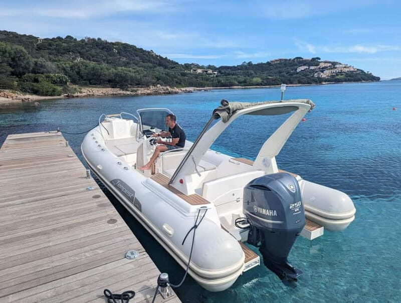 Olbia: Dolphin Watching & Snorkeling Boat Trip - Authentic Insights from Reviews