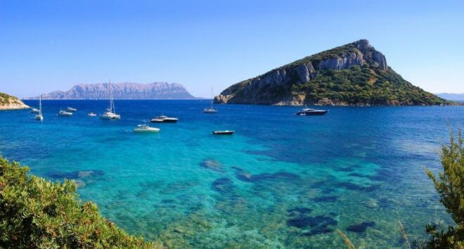 Olbia : Dolphins Watching & Snorkeling - Not Allowed