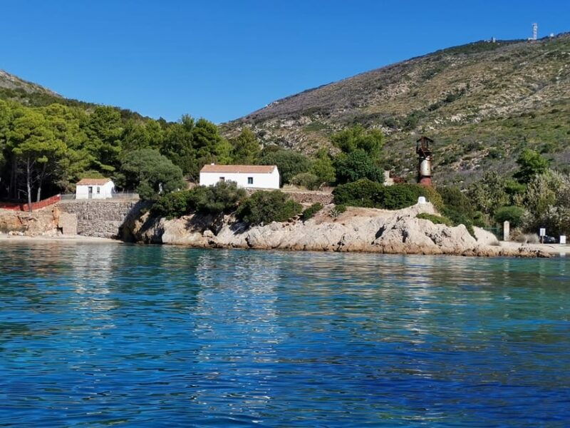 Olbia: Figarolo Island Tour and Snorkeling With Dolphin Sighting - Good To Know