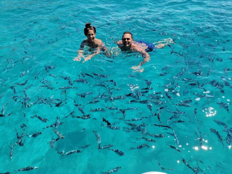 Olbia: Figarolo Island Tour and Snorkeling With Dolphin Sighting - Vessels and Safety