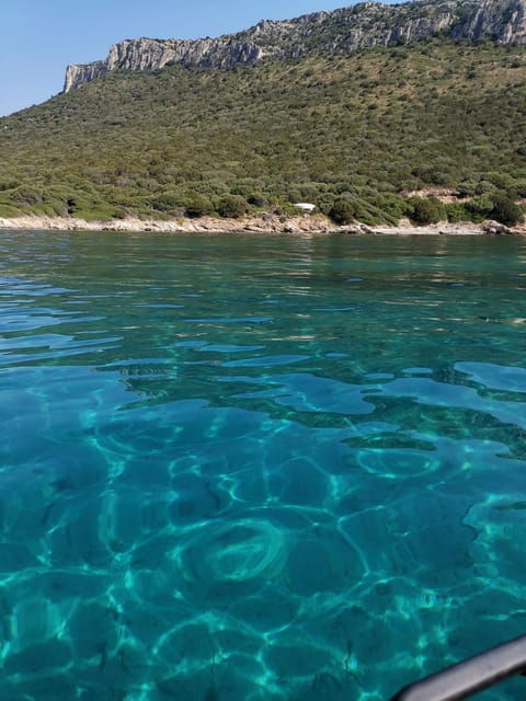 Olbia: Figarolo Island Tour and Snorkeling With Dolphin Sighting - Dolphin Watching Experience