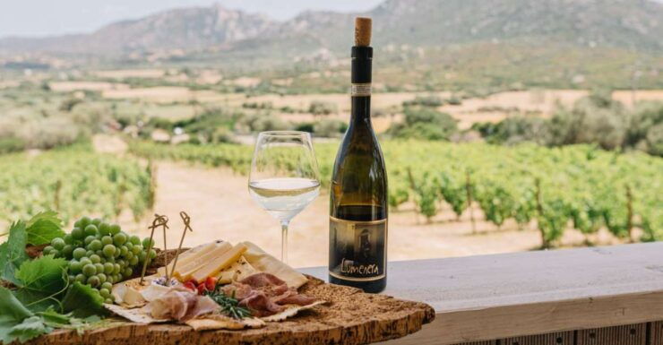 Olbia: Gallura Winery Guided Tour With Tasting - Tour Details