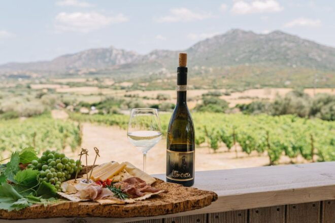 Olbia: Gallura Winery Guided Tour With Tasting - Important Information
