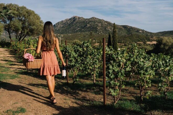 Olbia: Gallura Winery Guided Tour With Tasting - Customer Reviews