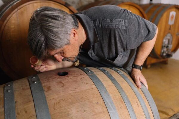 Olbia: Gallura Winery Guided Tour With Tasting - Frequently Asked Questions
