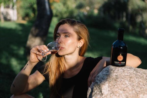 Olbia: Gallura Winery Guided Tour With Tasting - The Sum Up