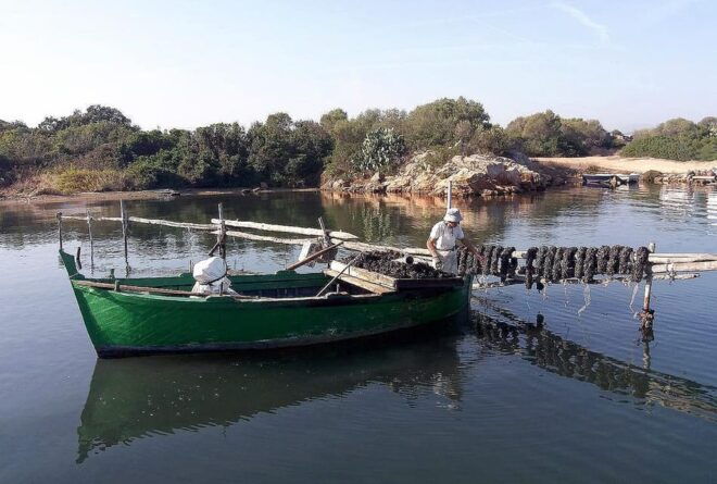 Olbia: Gulf of Olbia Boat Tour - Customer Feedback