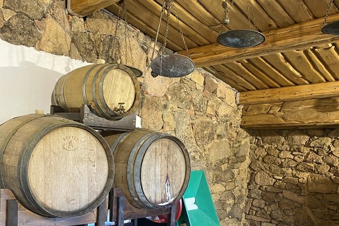 Olbia PASTA CLASS & FOOD EXPERIENCE Within Old Tipycal Village - Traveler Photos