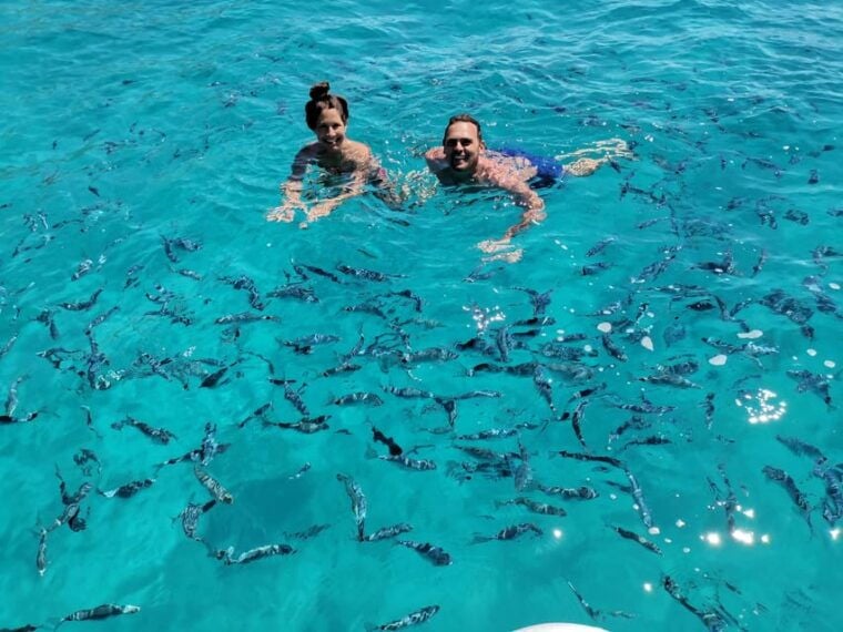 Olbia: Private excursion and snorkeling to the islands of Tavolara and Molara - Practical Details and What to Bring
