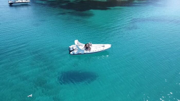 Olbia: Sunset and Dolphin Watching - Booking Information