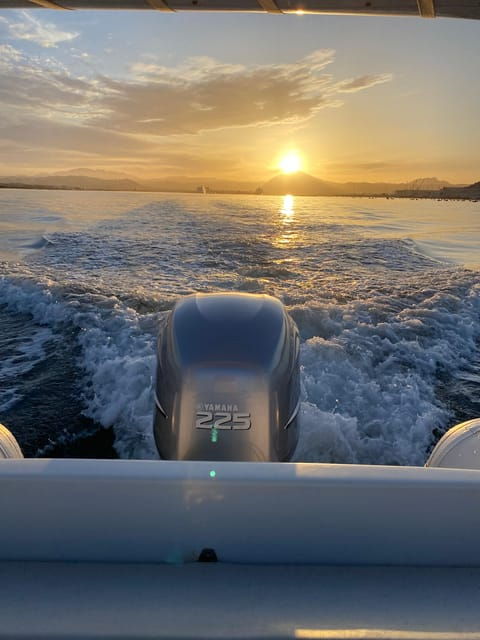 Olbia: Sunset and Dolphin Watching - Experience Highlights