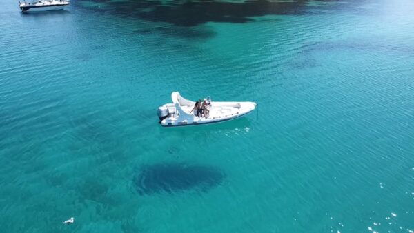 Olbia: Sunset and Dolphin Watching - Frequently Asked Questions