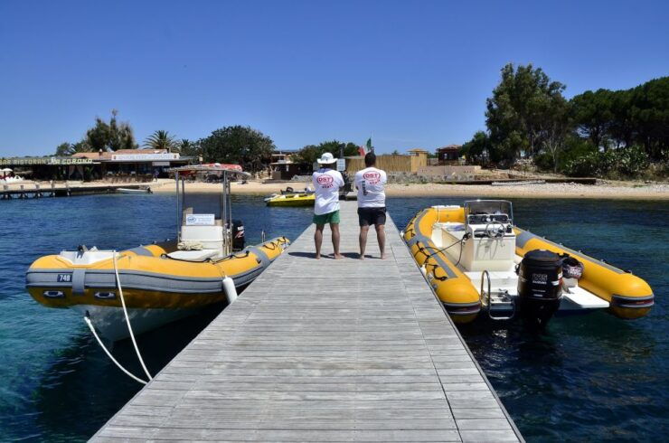 Olbia: Tavolara and Molara Snorkeling Boat Tour - Experience Highlights
