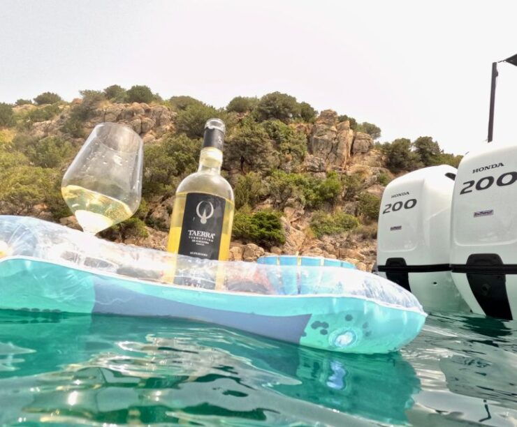 OLBIA: Unique Excursions in the Gulf of OLBIA - Activity Details