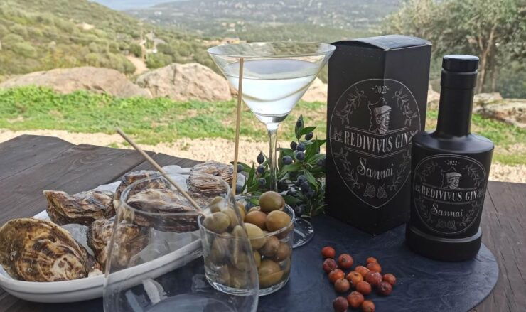 Olbia: Visit an Original Myrtle Gin Workshop With Tasting - Workshop Experience and Activities