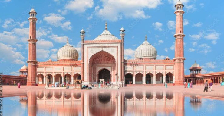 Old and New Delhi City: Guided Day Tour - Tour Details