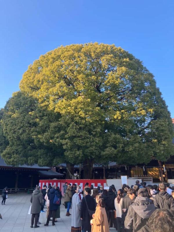 Old and new: Meiji Shrine, Takeshita Street & Shibuya Tour - Good To Know