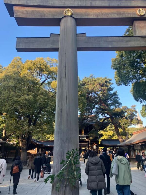 Old and new: Meiji Shrine, Takeshita Street & Shibuya Tour - Is This Tour Worth It?