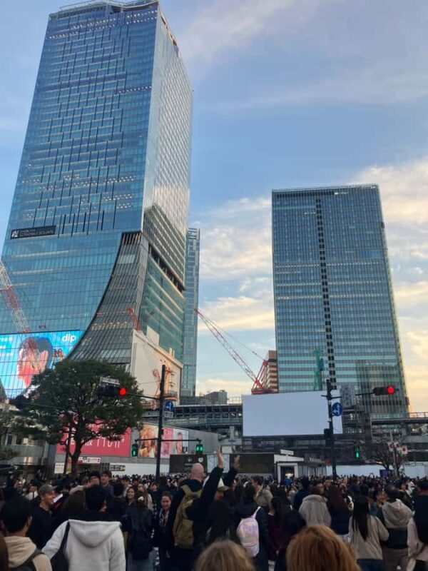Old and new: Meiji Shrine, Takeshita Street & Shibuya Tour - Good To Know