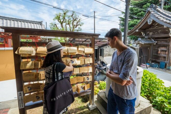 Old and Nostalgic Tokyo: Half-Day Yanaka Walking Tour - Important Information