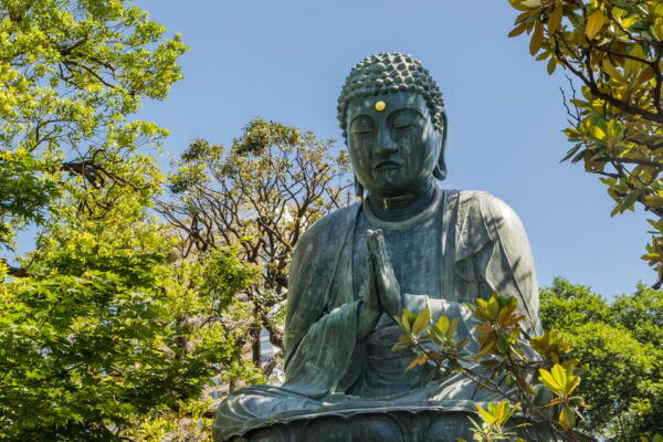 Old and Nostalgic Tokyo: Half-Day Yanaka Walking Tour - Tips for Your Visit