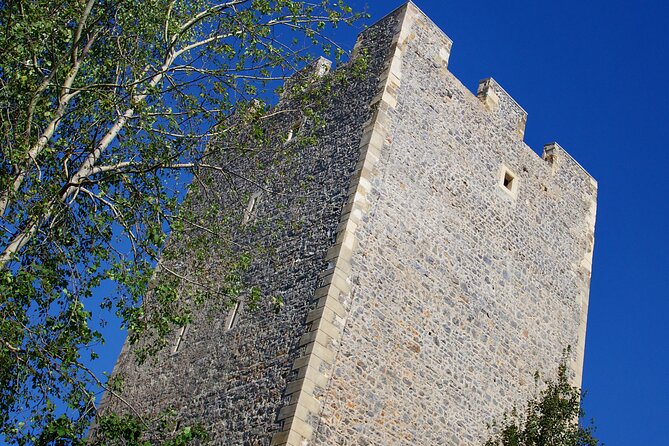 Old Castle of Celje - Traveler Tips and Recommendations