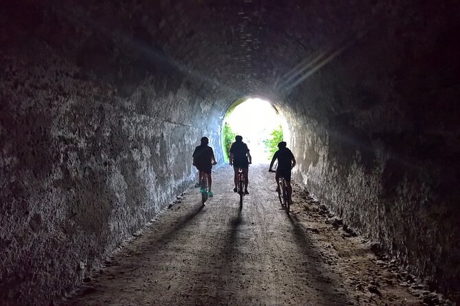 Old Coach Road Self-Guided Bike Tour From Ohakune - Overview of the Old Coach Road Bike Tour