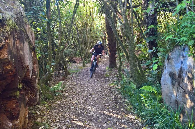 Old Coach Road Self-Guided Bike Tour From Ohakune - Reviews and Recommendations for the Old Coach Road Tour