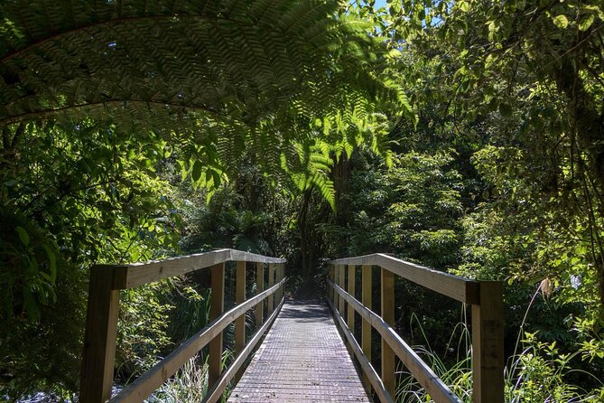 Old Coach Road Self-Guided Bike Tour From Ohakune - The Sum Up