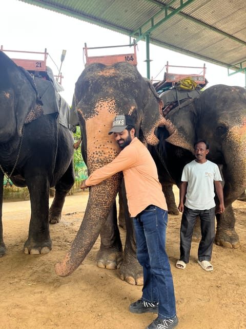 Old Delhi Food and Heritage Walk - Why This Tour Works Well
