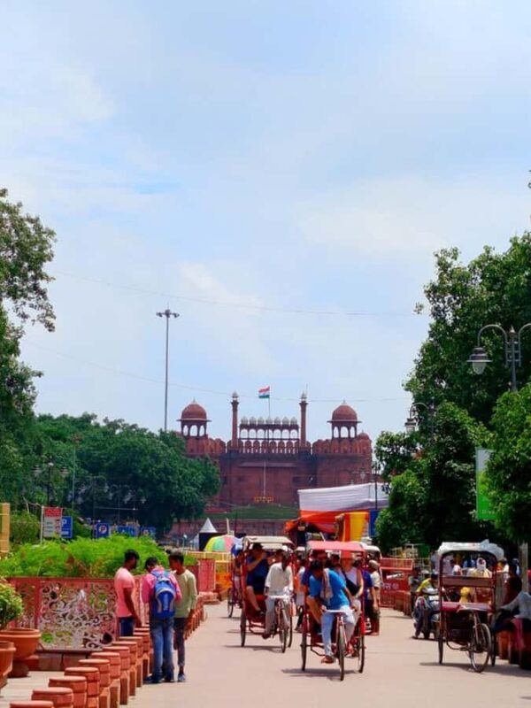 Old Delhi: Heritage Walk With Rikshaw Ride & Spice Market - Who Is This Tour Best For?