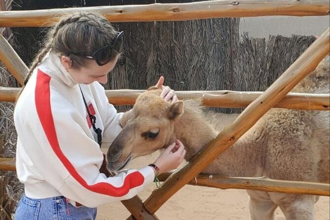 Old Dubai, Creek, Souks, Tasting & Abra Ride Premium Private Tour - Exploring Local Souks