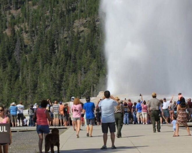 Old Faithful Lower Loop Tours - Tour Highlights