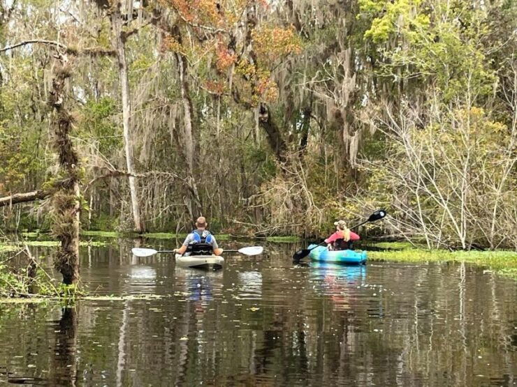 Old Florida Backwater Kayak Adventure Near St. Augustine - Activity Details