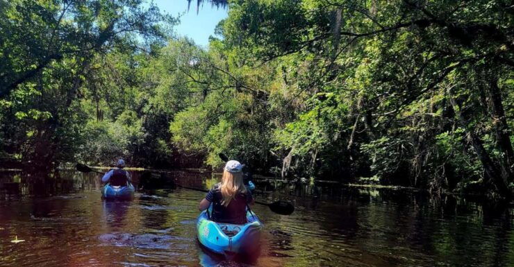 Old Florida Backwater Kayak Adventure Near St. Augustine - Booking Information