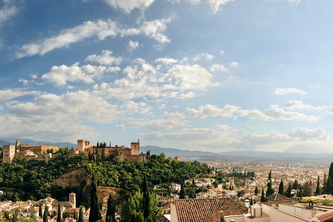 Old Granada Market & Food Tasting Tour - What to Expect During the Tour