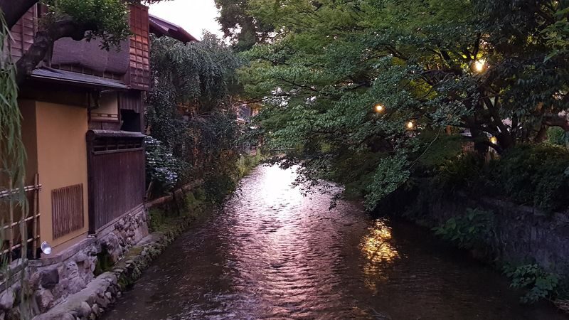 Old Kyoto Nighttime All-Inclusive Local Food Tour - Dietary needs and a few practical limits