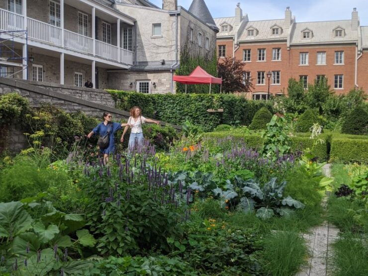 Old Montreal: 1.5-Hour Walking Tour of the East Side - Pricing and Booking Details