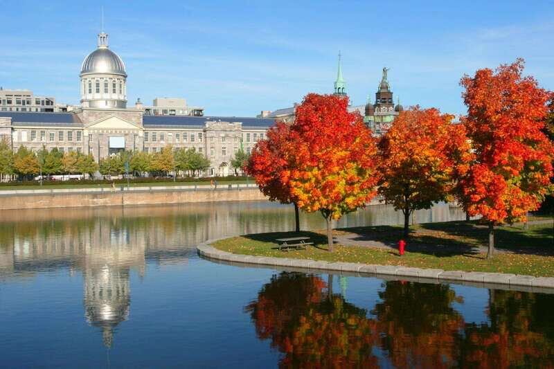 Old Montreal Private Walking Tour with Cruise Tickets - Authentic and Customizable Experience