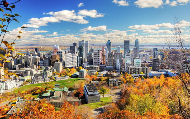 Old Montreal & Underground City Half-Day Walking Tour in Montreal - Timing, booking, and cancellation
