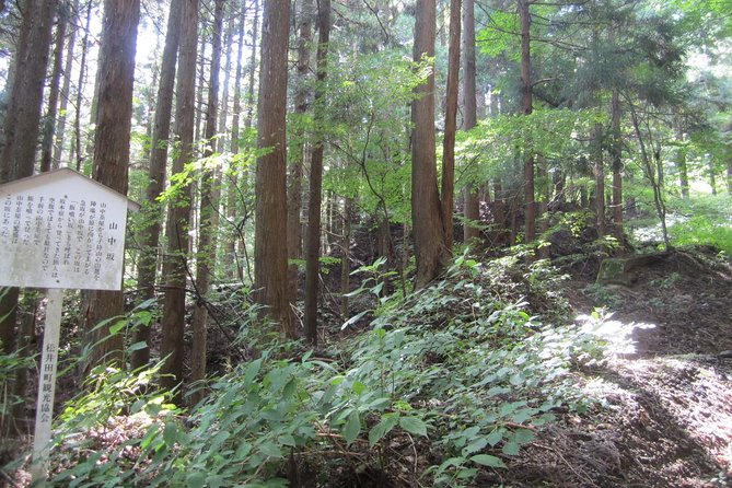 Old Nakasendo Trekking From Karuizawa-Beyond Sugahi Pass to Sakamoto Hotel- - Transportation Options