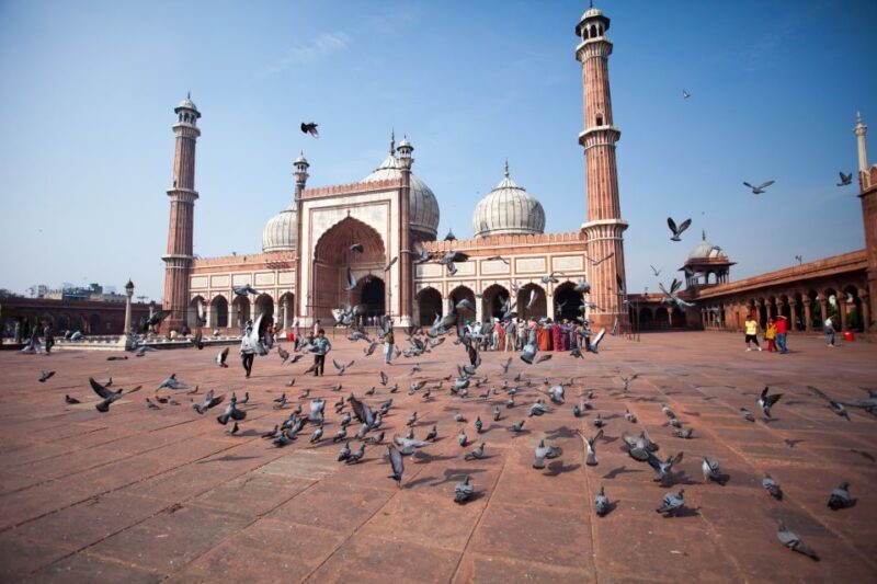 Old & New Delhi City Tour Half or Full Day Options - Itinerary Breakdown: New Delhi – A Reflection of Power and Peace