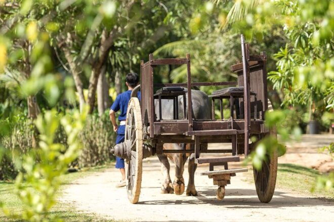 Old Phuket Farm Ticket - Countryside Local Life Culture - Itinerary and Logistics