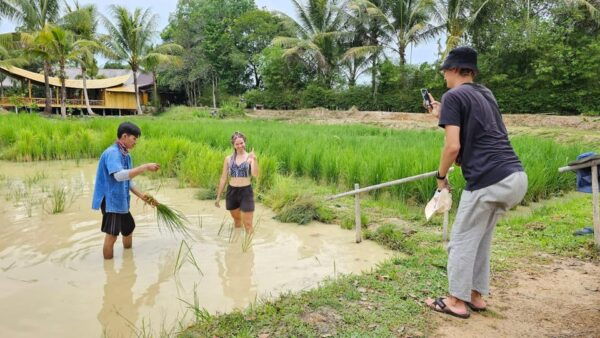 Old Phuket Farm Ticket - Countryside Local Life Culture - Nearby Attractions