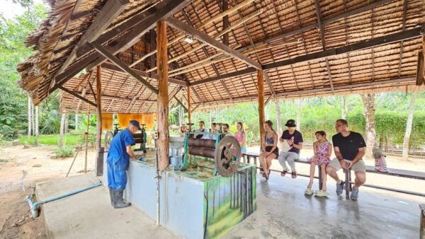 Old Phuket Farm Ticket - Countryside Local Life Culture - Questions You May Have