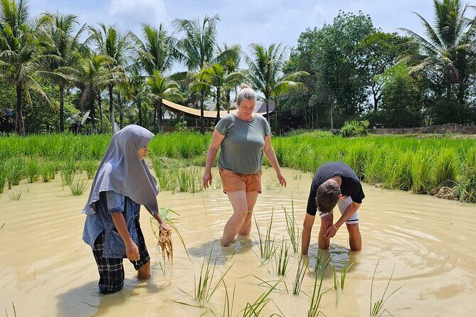 Old Phuket Farm Traditional Phuket Heritage Tour - The Sum Up