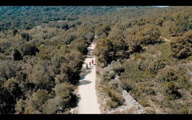 Old Railway: Premium E-Bike Tour Through an Enchanted Forest - Cultural Experiences Along the Way
