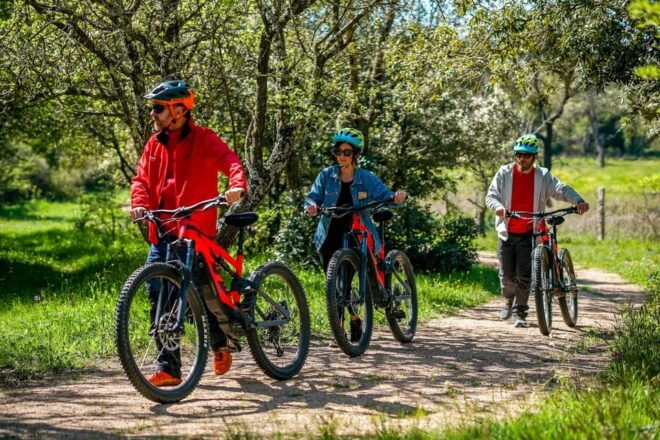 Old Railway: Premium E-Bike Tour Through an Enchanted Forest - Whats Included in the Tour