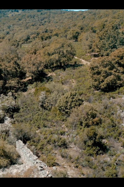 Old Railway: Premium E-Bike Tour Through an Enchanted Forest - Preparation and Recommendations